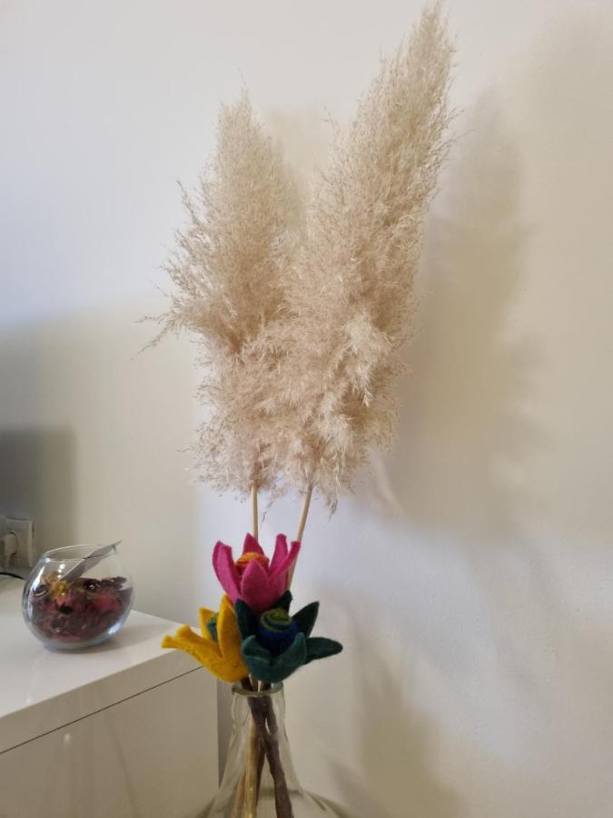 Apartment Rajci Cres Εξωτερικό φωτογραφία